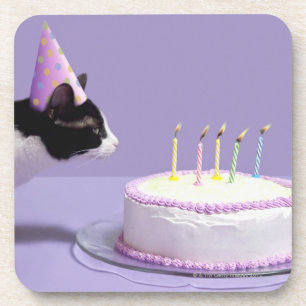 猫の蝋燭を吹く身に着けている誕生日の帽子 コースター