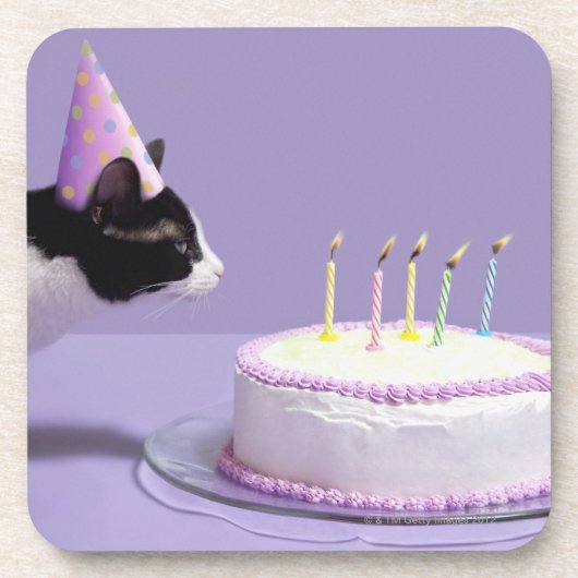 猫の蝋燭を吹く身に着けている誕生日の帽子 コースター (正面)