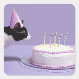 猫の蝋燭を吹く身に着けている誕生日の帽子 スクエアシール