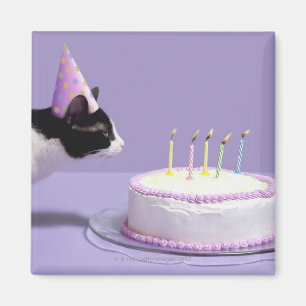 猫の蝋燭を吹く身に着けている誕生日の帽子 マグネット