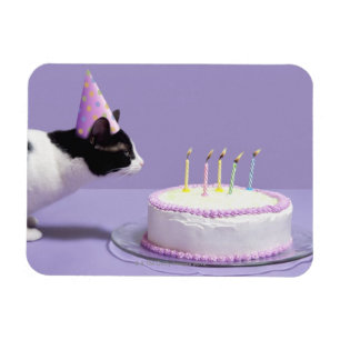 猫の蝋燭を吹く身に着けている誕生日の帽子 マグネット