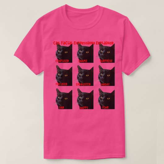 猫の表情グラフの切り抜き Tシャツ (デザイン正面)