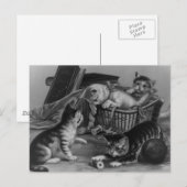 猫の裁縫 ポストカード (正面/裏面)