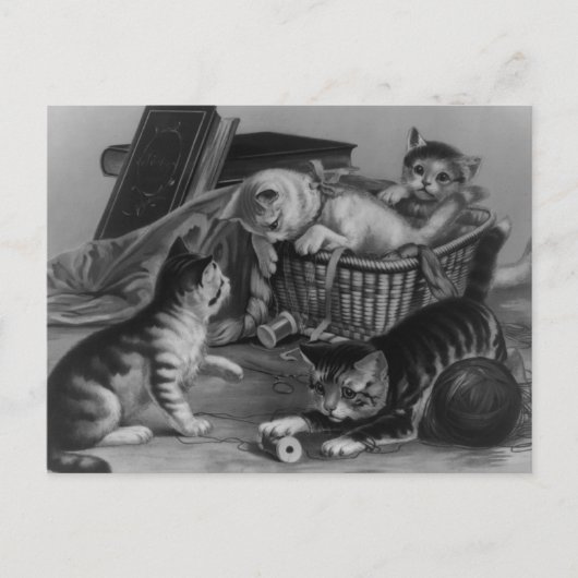 猫の裁縫 ポストカード (正面)