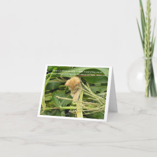 猫の規則のメモカ空白のード サンキューカード