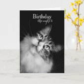 猫の視点からの誕生日思考(カード) カード (黄色い花)