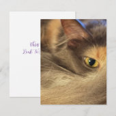 猫の視線のノートカード ノートカード (正面/裏面)