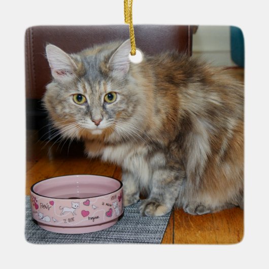 猫の視線 セラミックオーナメント (正面)