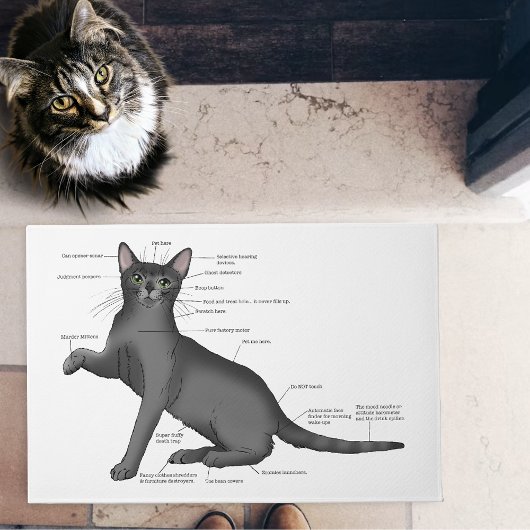 猫の解剖図 ドアマット