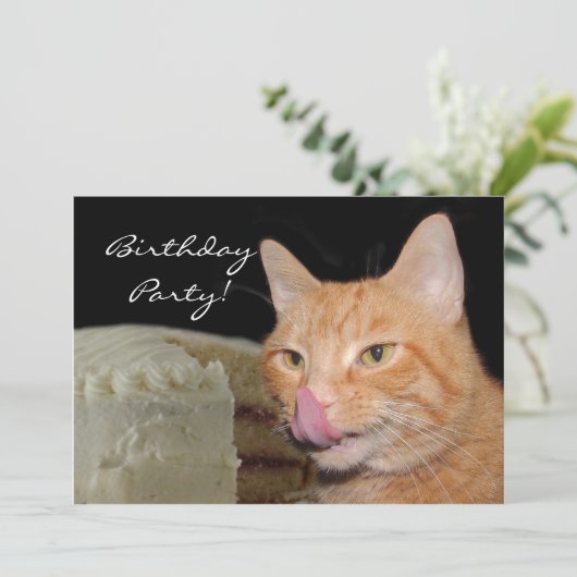猫の誕生会 招待状 (スタンド正面)