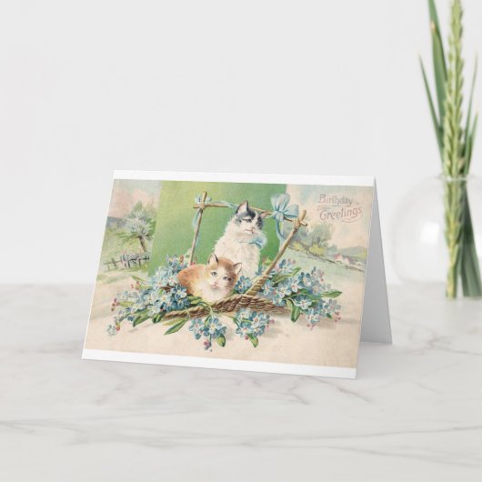 猫の誕生日おめでとう カード (正面)