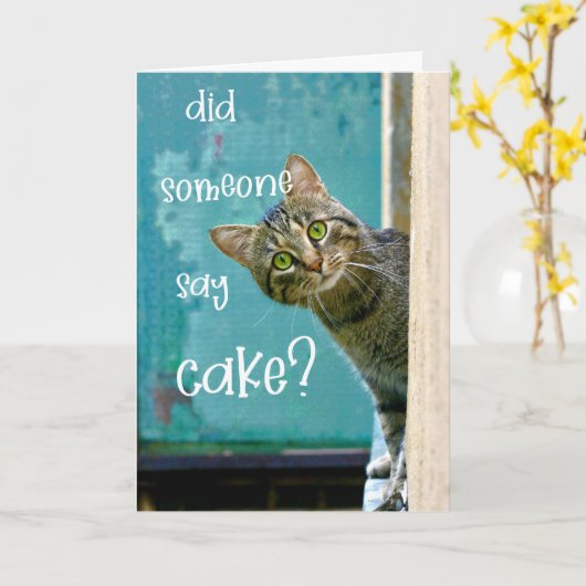 猫の誕生日おもしろいが、誰かがケーキを言った カード (黄色い花)