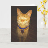 猫の誕生日が挨拶 カード (黄色い花)