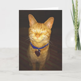 猫の誕生日が挨拶 カード