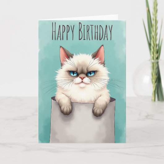 猫の誕生日カード 気難しい表情 カード (正面)