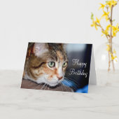 猫の誕生日グリーティングカード カード (黄色い花)
