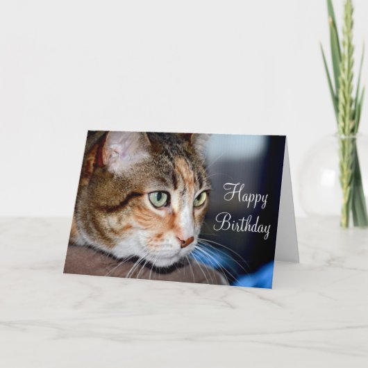 猫の誕生日グリーティングカード カード (正面)