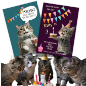 猫の誕生日パーティー子猫お祝い招待状 招待状