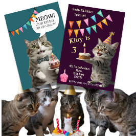 猫の誕生日パーティー子猫お祝い招待状 招待状