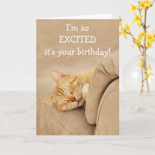 猫の誕生日 カード (黄色い花)