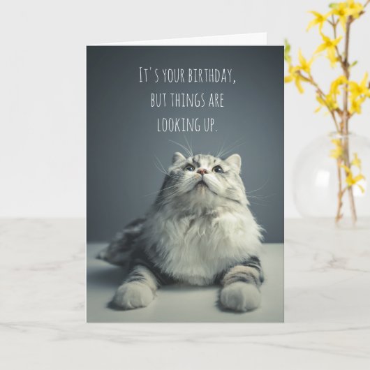 猫の誕生日 カード (黄色い花)