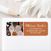 猫の足のパターンが多い ラベル (インサイチュ)