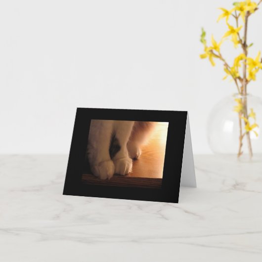 猫の足 カード (黄色い花)