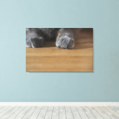 猫の足 キャンバスプリント (インサイチュ (ウッドフロア))