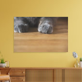 猫の足 キャンバスプリント (インサイチュ (リビング))