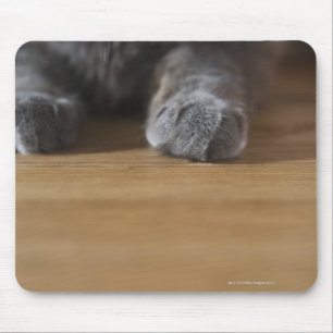 猫の足 マウスパッド
