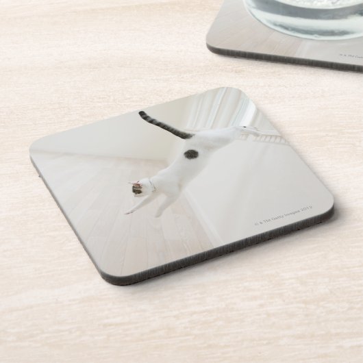 猫の跳躍は コースター (左側)