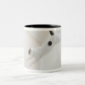 猫の跳躍は ツートーンマグカップ (中央)