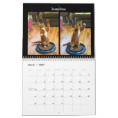 猫の踊り- 2018カレンダー カレンダー (3月 2027)