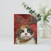 猫の身に着けているトナカイの(雄ジカの)枝角 ポストカード (スタンド正面)