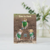 猫の農家の植え付けはハッカ。 ポストカード (スタンド正面)