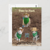 猫の農家の植え付けはハッカ。 ポストカード (正面/裏面)