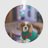 猫の追悼写真 オーナメント (裏面)