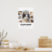 猫の追悼 7枚の写真コラージュ ペットの記念テンプレート ポスター (キッチン)