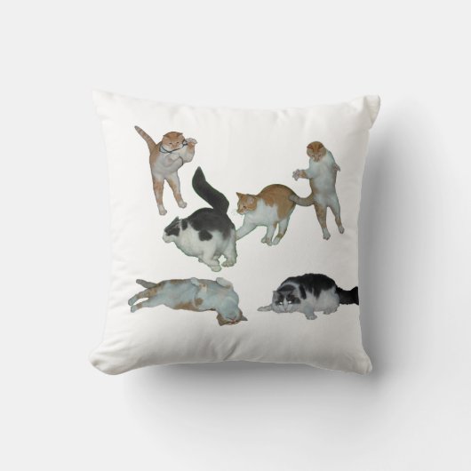 猫の遊枕 クッション (正面)