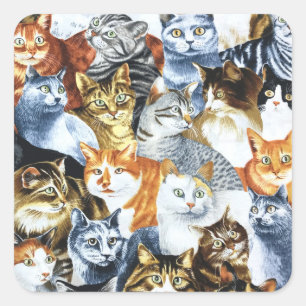 猫の道化師 スクエアシール