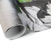 猫の違う写真 ラッピングペーパー (ロールコーナー)