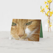猫の郵便はがき カード (黄色い花)