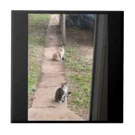 猫の陶器タイル タイル