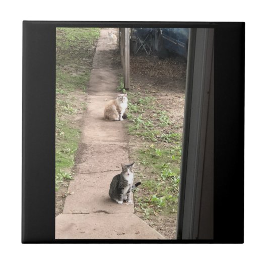 猫の陶器タイル タイル (正面)