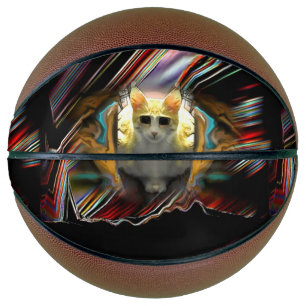 猫の離陸準備カッコいい バスケットボール