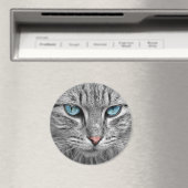猫の青い目 マグネット (インサイチュ (食洗機))