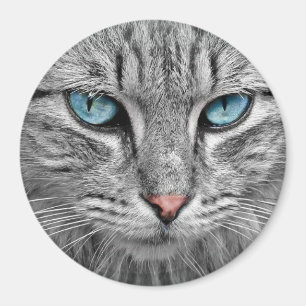 猫の青い目 マグネット