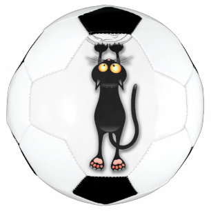 猫の面白いキャラクターが布を引っかく サッカーボール