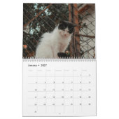 猫の面白い写真カレンダー - ひげとカオス カレンダー (1月 2027)
