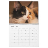 猫の面白い写真カレンダー - ひげとカオス カレンダー (3月 2027)